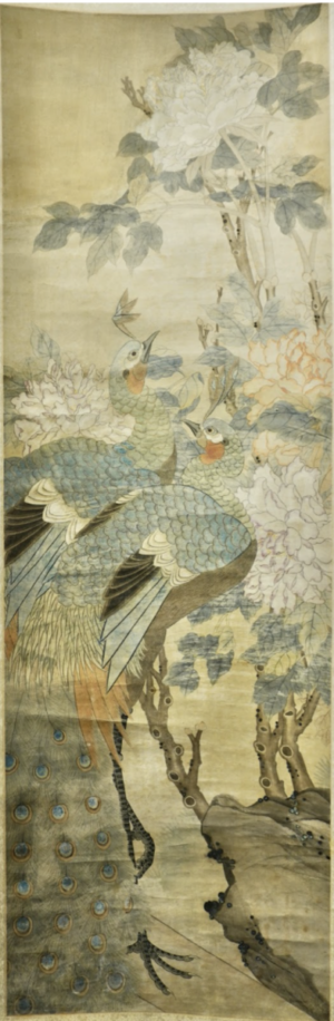 Peacocks & Peonies