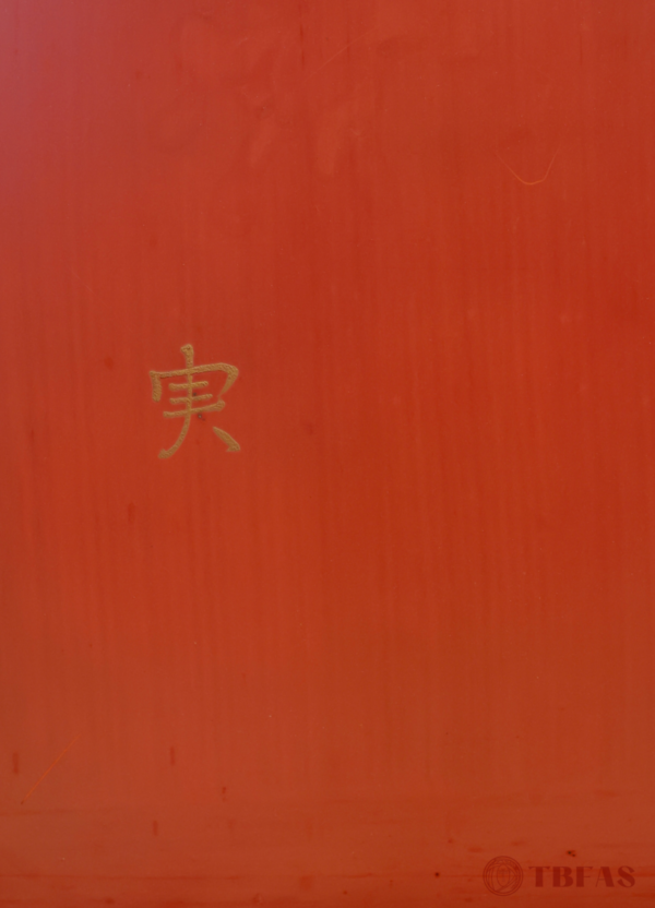 Kashin 華晨