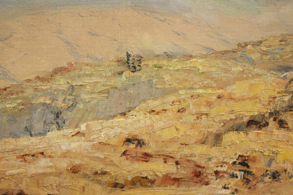 Volcano Scene