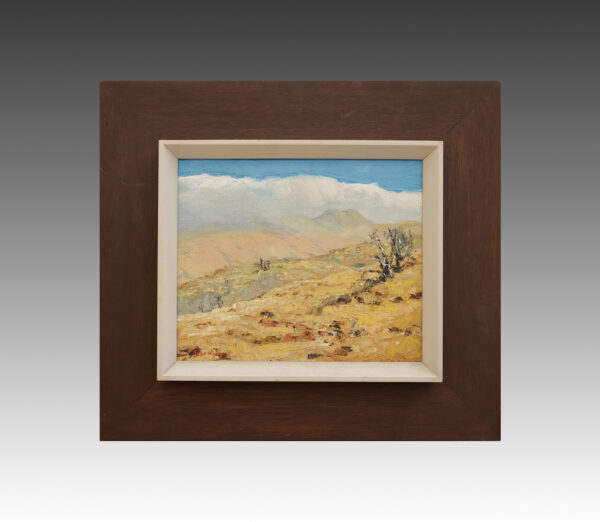 Volcano Scene