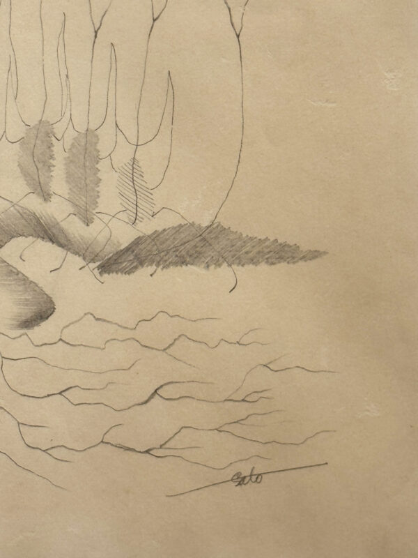 Sketch of maui silver sword
