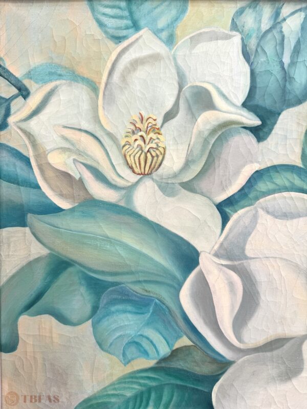 Magnolia