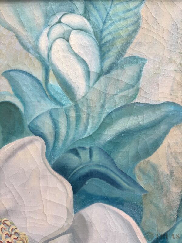 Magnolia