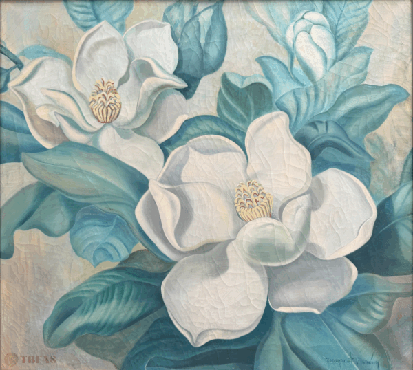Magnolia