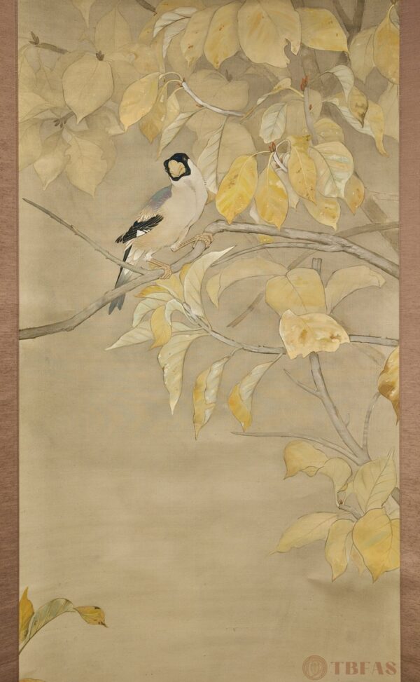 Bird on Branch