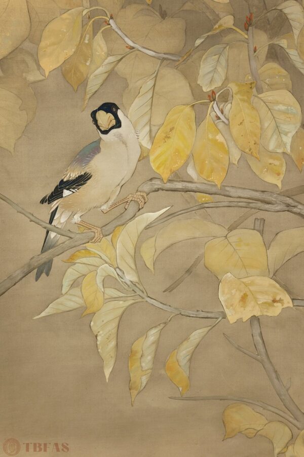 Bird on Branch