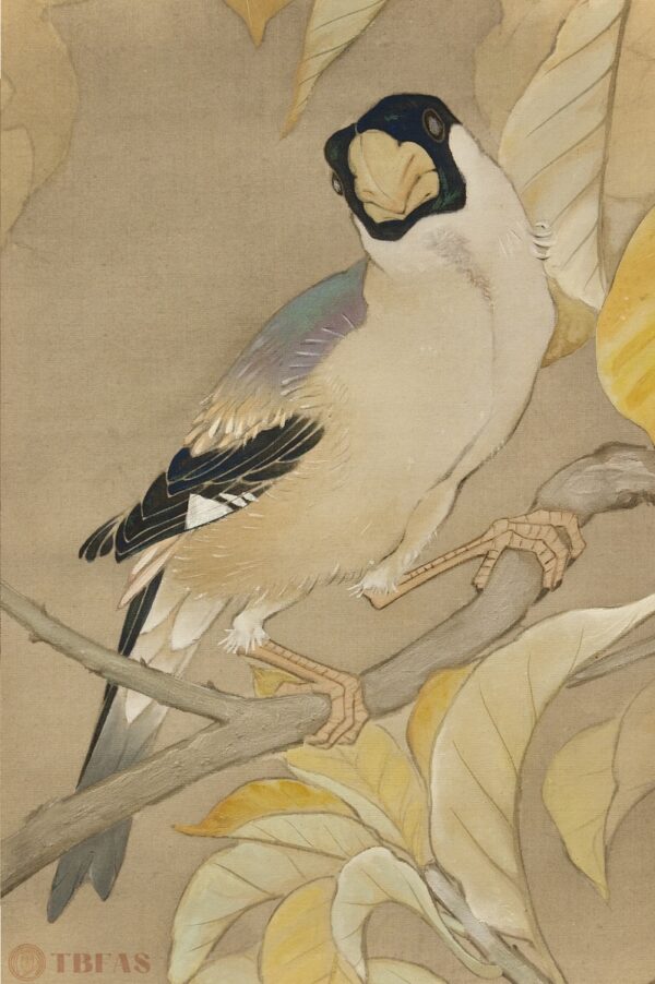 Bird on Branch