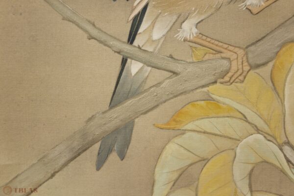 Bird on Branch