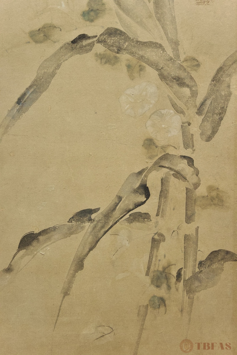 4-Panel Bird Screen
