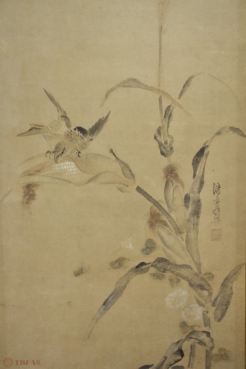 4-Panel Bird Screen