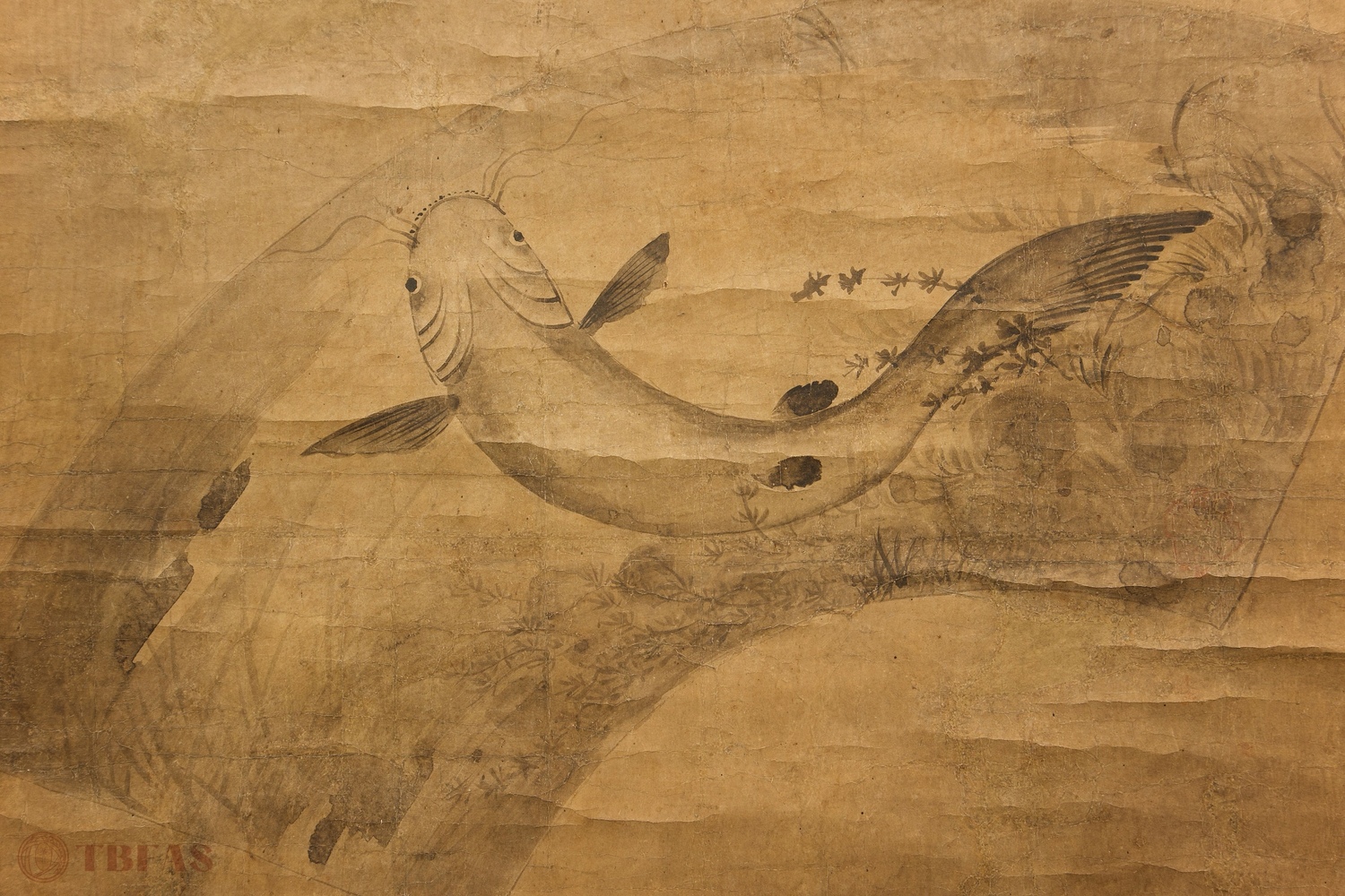 Korean Catfish Scroll