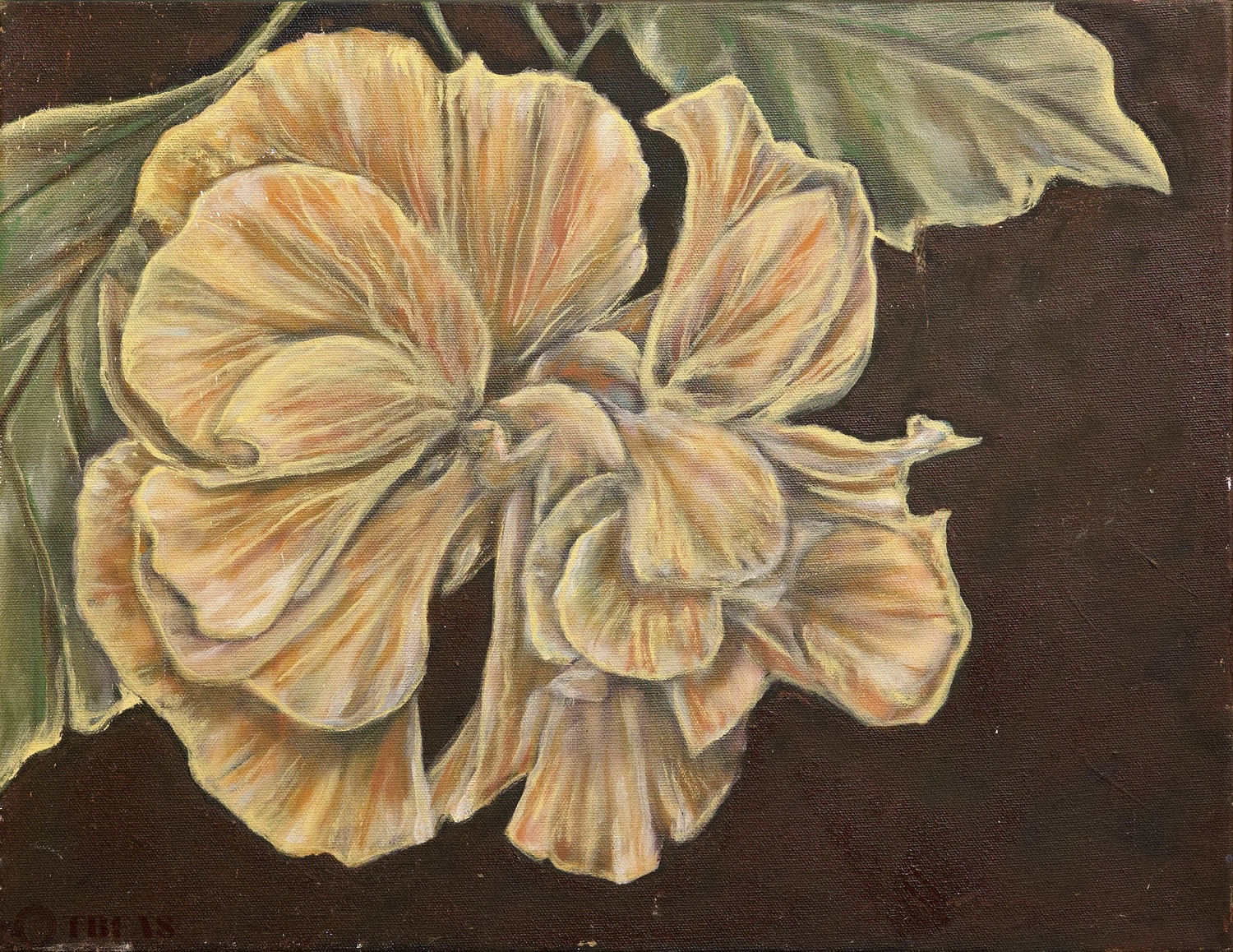 Bloem