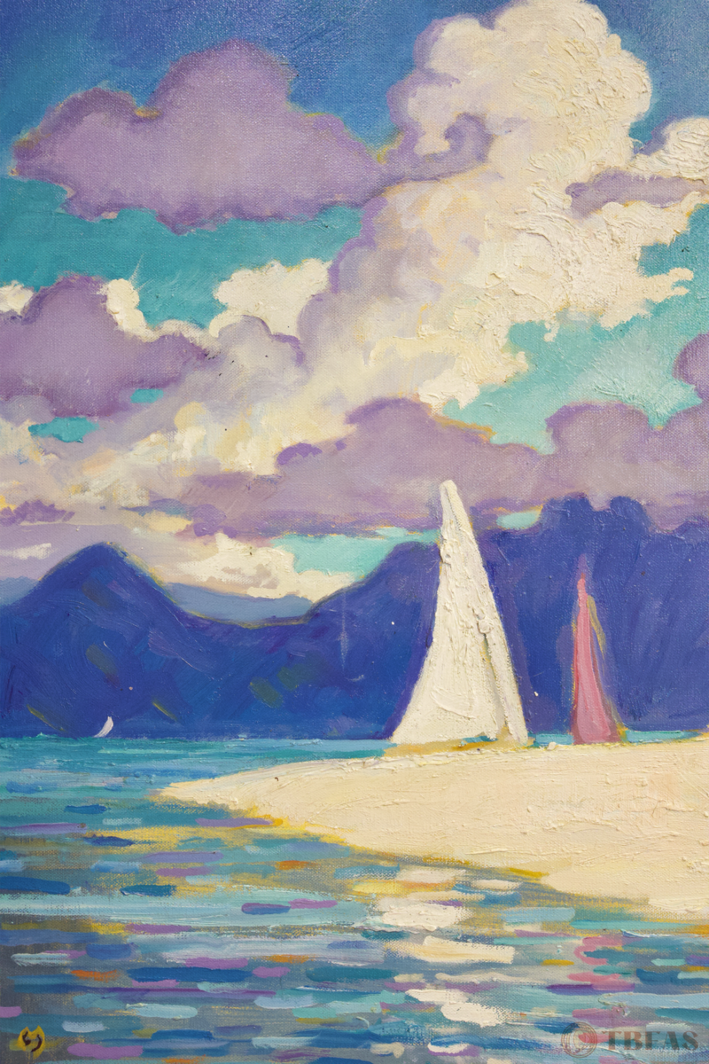 Kaneohe Sandbar
