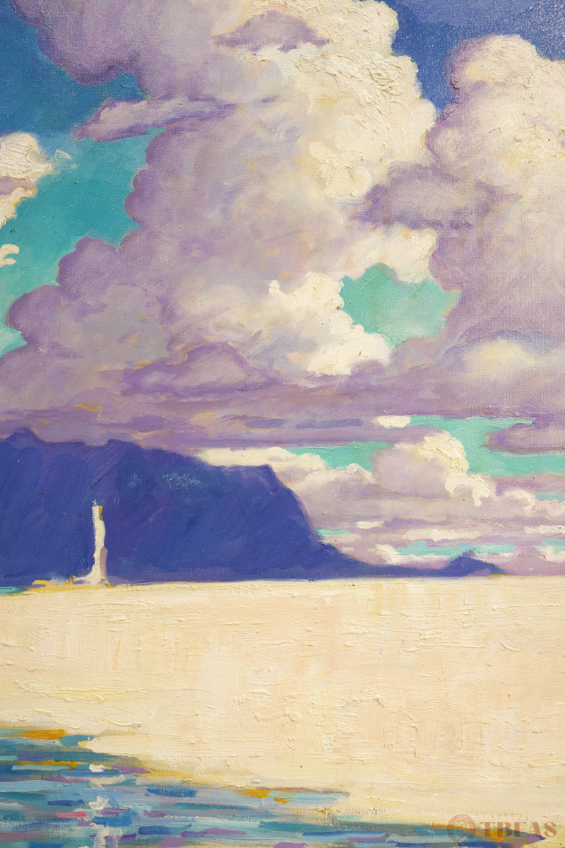 Kaneohe Sandbar