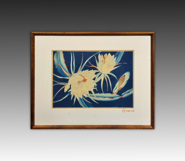 Night blooming cereus