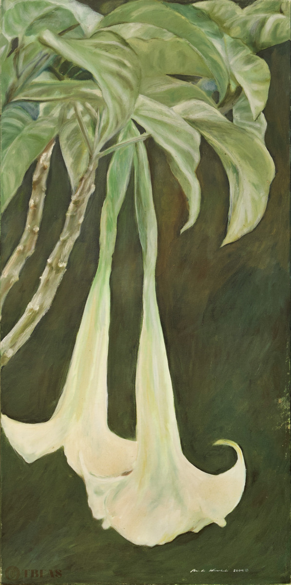 Angel's Trumpet