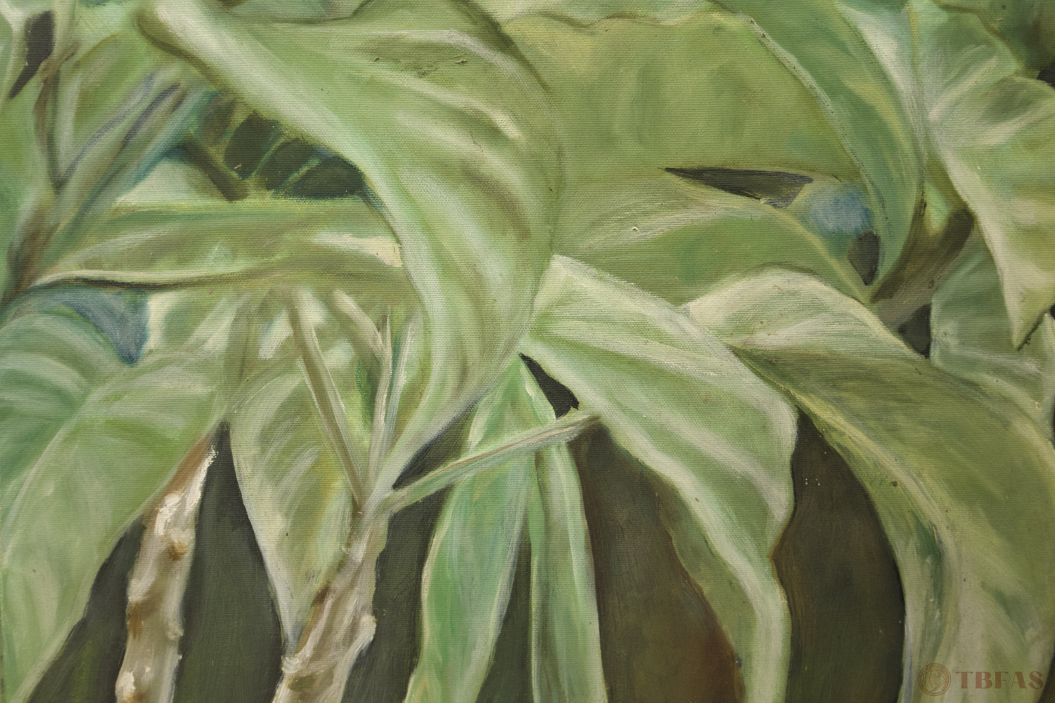 Angel's Trumpet