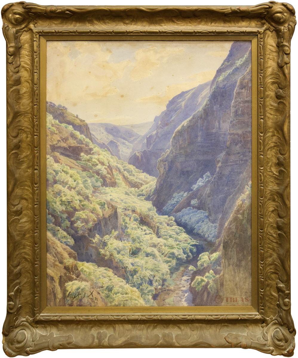 Blick in die Schlucht