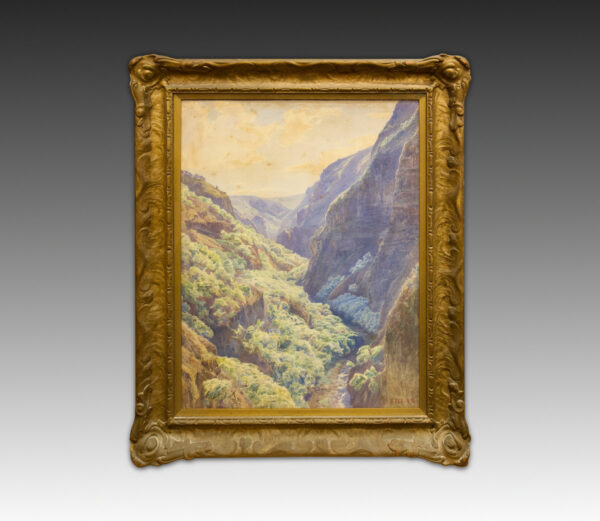 Blick in die Schlucht