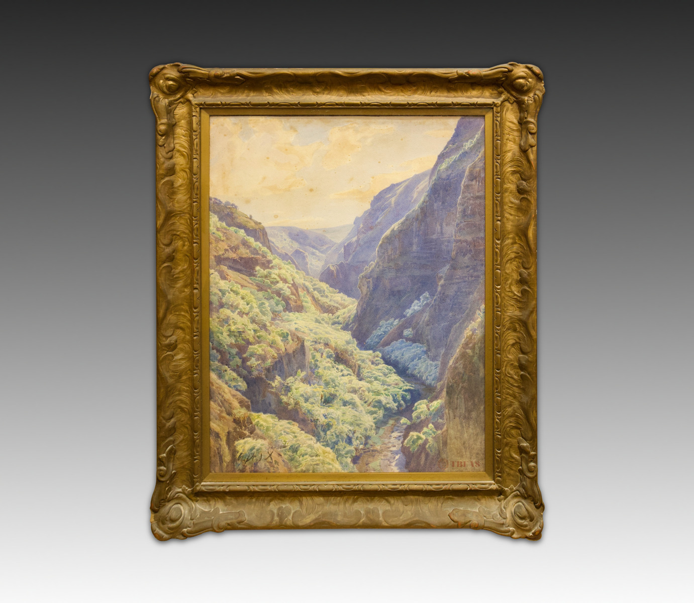 Blick in die Schlucht