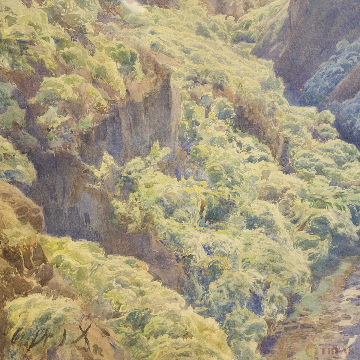 Blick in die Schlucht