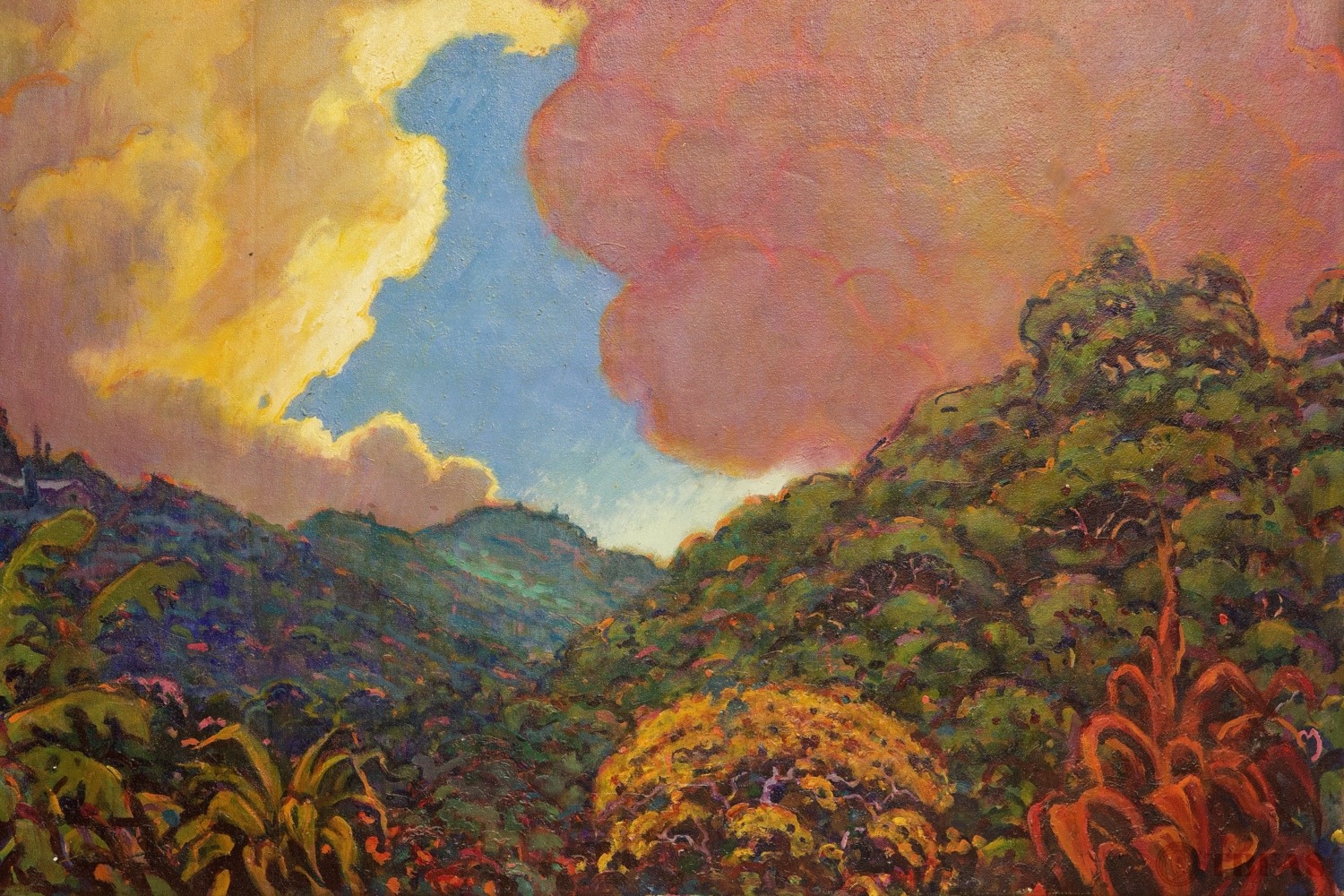 Pauoa Sky