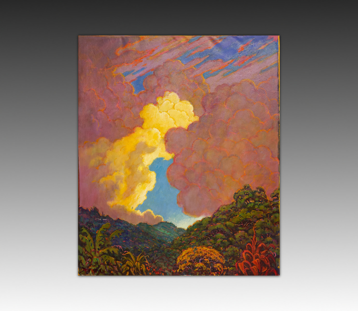 Pauoa Sky