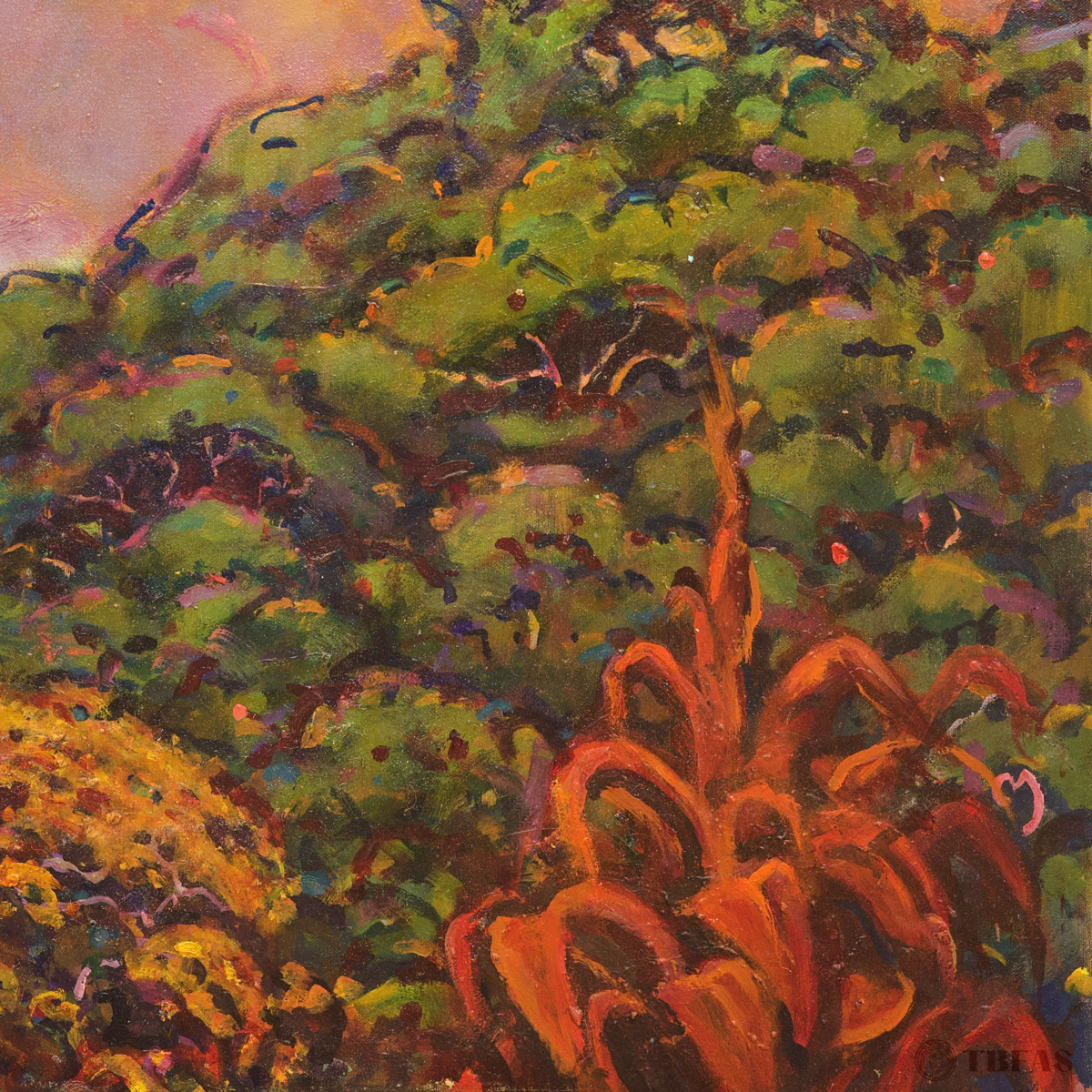 Pauoa Sky