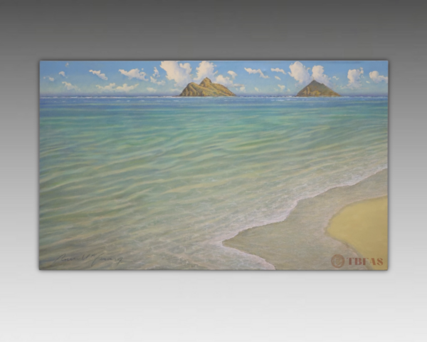 Kailua Beach