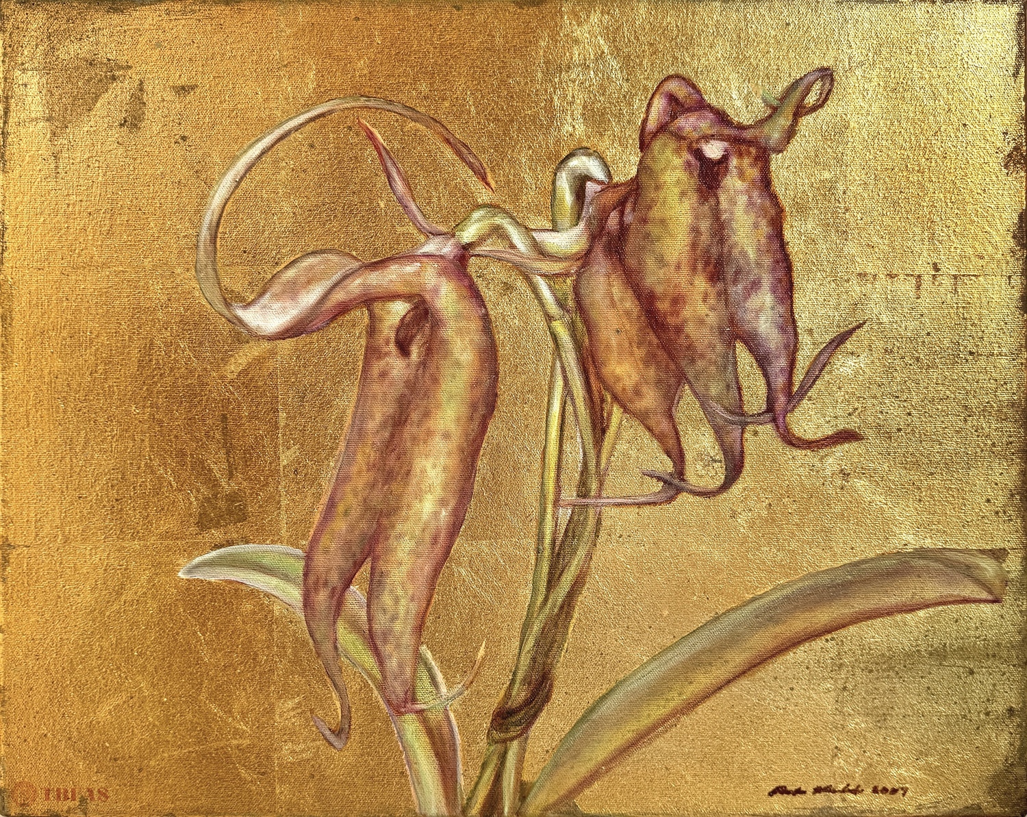 Golden Orchid