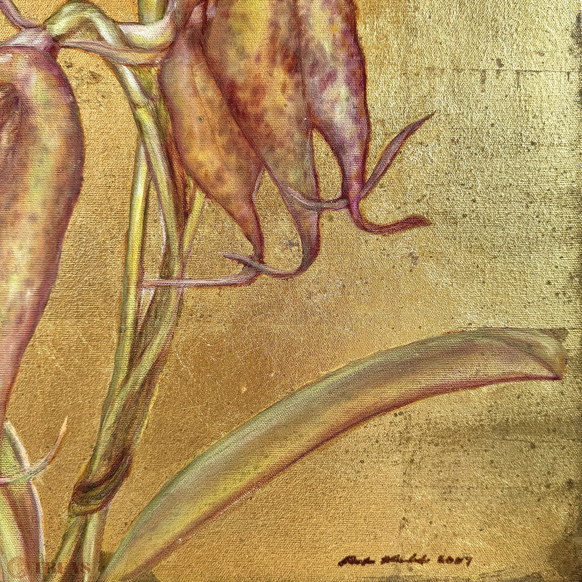 Golden Orchid